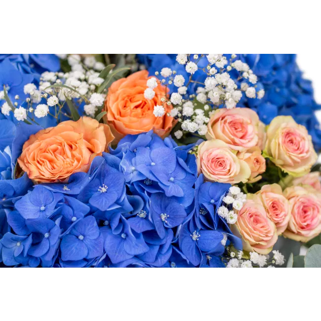 Bouquet of hydrangeas